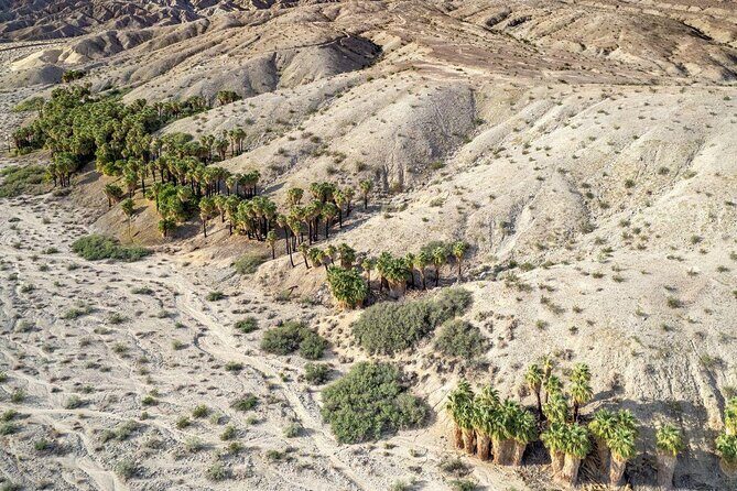 San Andreas Fault Jeep Tour from Palm Desert - Key Points