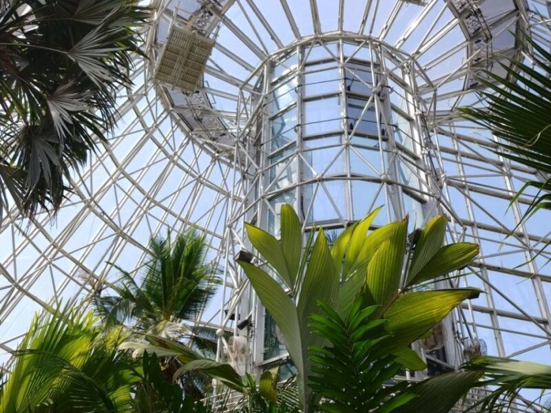 San Antonio CityPASS®: Save up to 51% on 4 Top Attractions - Key Points
