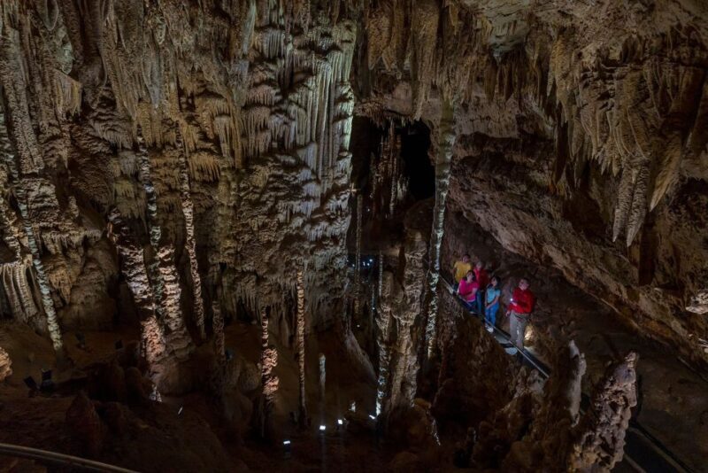 San Antonio: Discovery Tour at Natural Bridge Caverns - The Experience in Detail