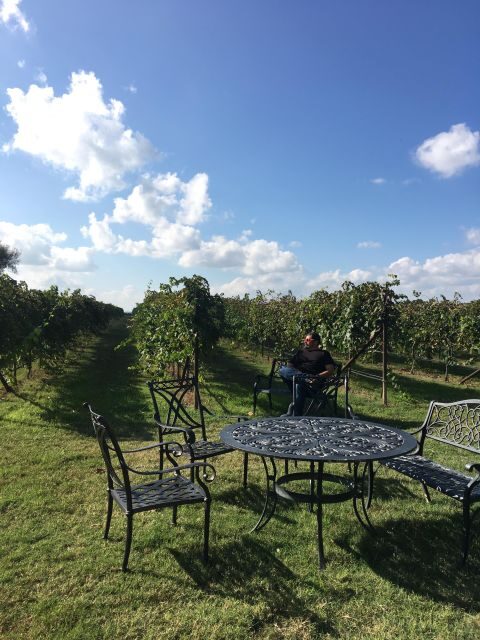 San Antonio: Fredericksburg Wineries Day Trip with Tastings - Why This Tour Will Appeal to the Right Traveler