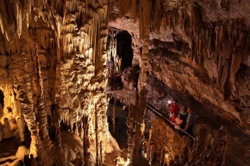 San Antonio: Go City Explorer Pass with 25+ Attractions - Key Points