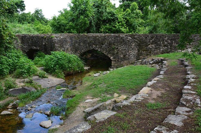 San Antonio Mission Trail  Private Guided Tour - Who Will Love This Tour?