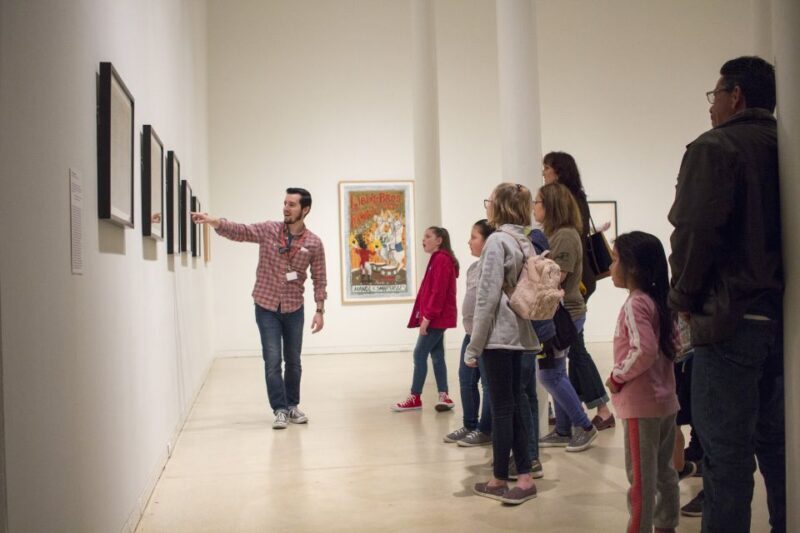 San Antonio: San Antonio Museum of Art Entry Ticket - Key Points