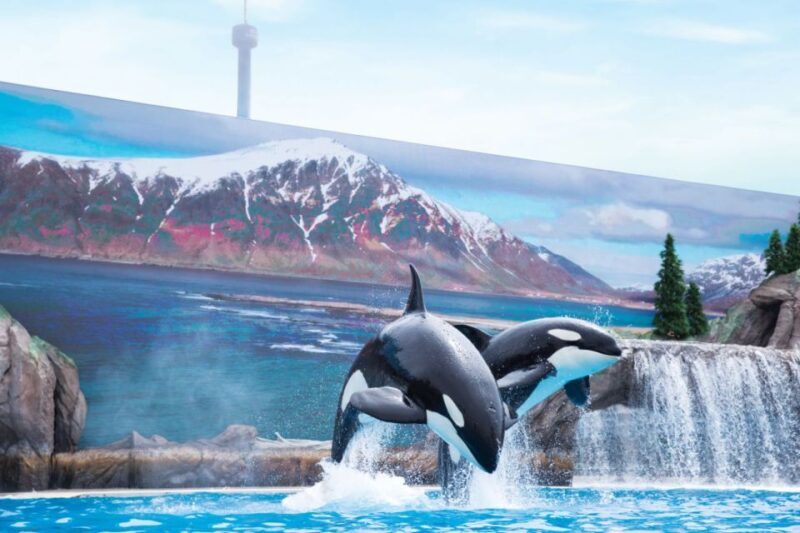 San Antonio: SeaWorld Skip-the-Line Park Admission Ticket - Pricing and Value