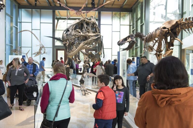 San Antonio: Witte Museum Admission Ticket - A Closer Look at the Witte Museum Experience
