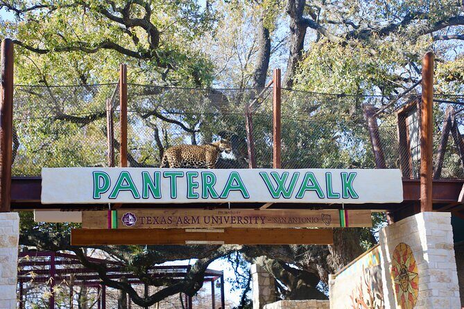 San Antonio Zoo General Admission Ticket - The Sum Up: Who Should Visit?