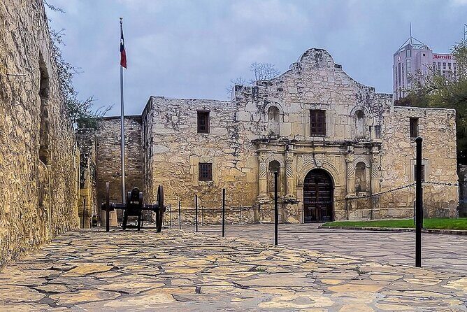 San Antonio's 1/2-day History and cultural guided driving tour - Transportation, Price, and Overall Value
