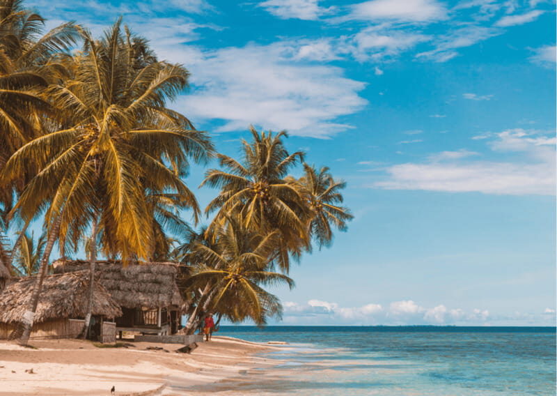 San Blas Day Tour: Explore the Top 3 Islands, From San Blas - Key Points