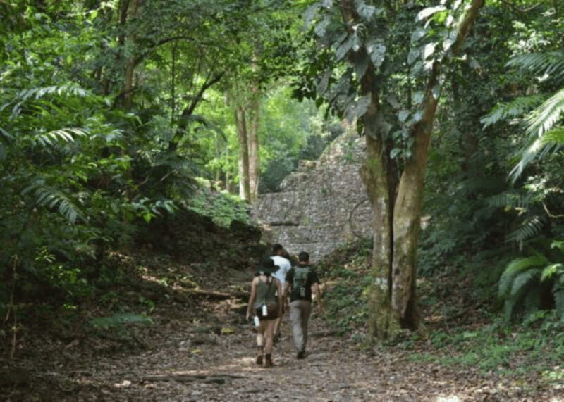 San Cristobal: 3 Days Expedition of North Lacandona Jungle - The Itinerary: What to Expect Day by Day
