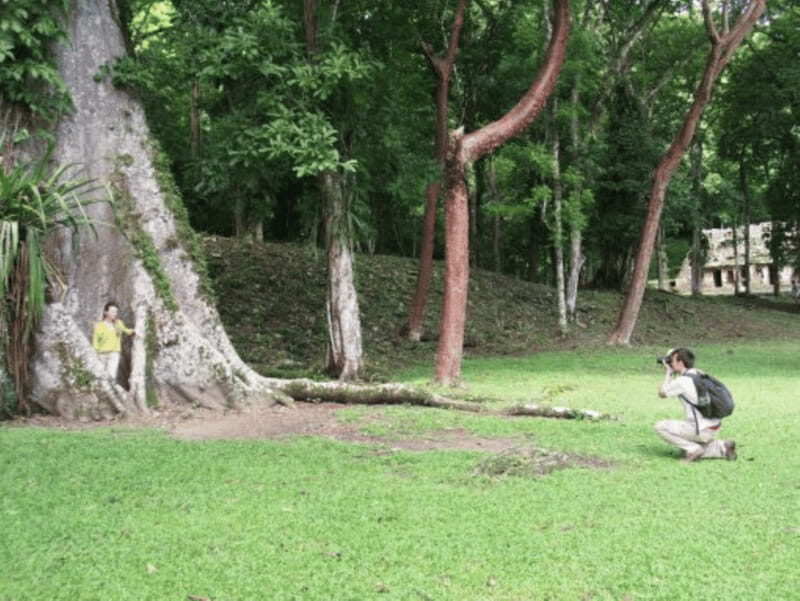 San cristobal- 4 Days Kayak Tour in Lacandona Jungle - Who Should Consider This Tour?