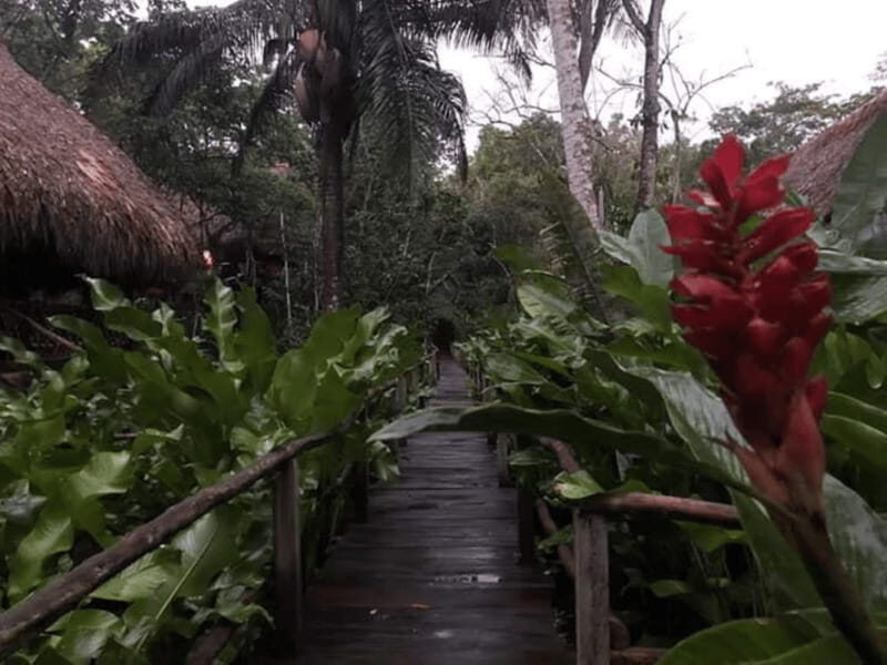 San Cristobal: Coffee Tour in the Mountains of Chiapas - Starting the Day: A Scenic Drive into the Mountains