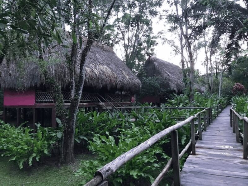 San Cristobal: Coffee Tour in the Mountains of Chiapas - Brewing and Savoring Your Coffee
