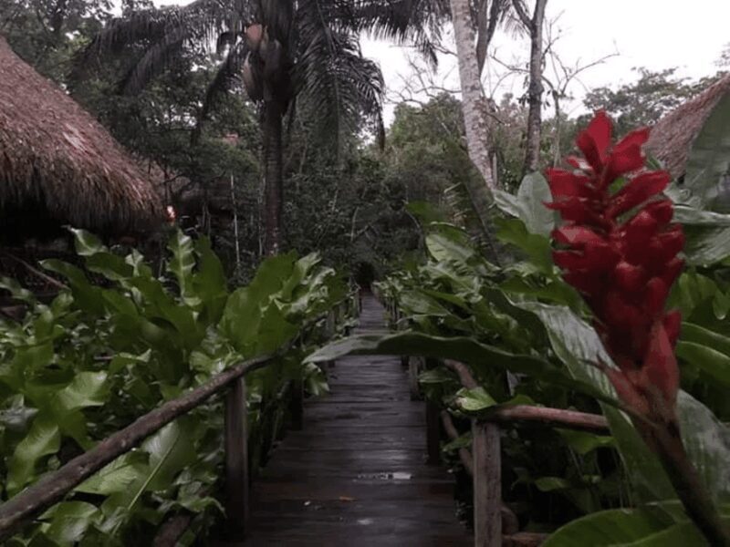 San Cristobal: Coffee Tour in the Mountains of Chiapas - Language and Booking Flexibility