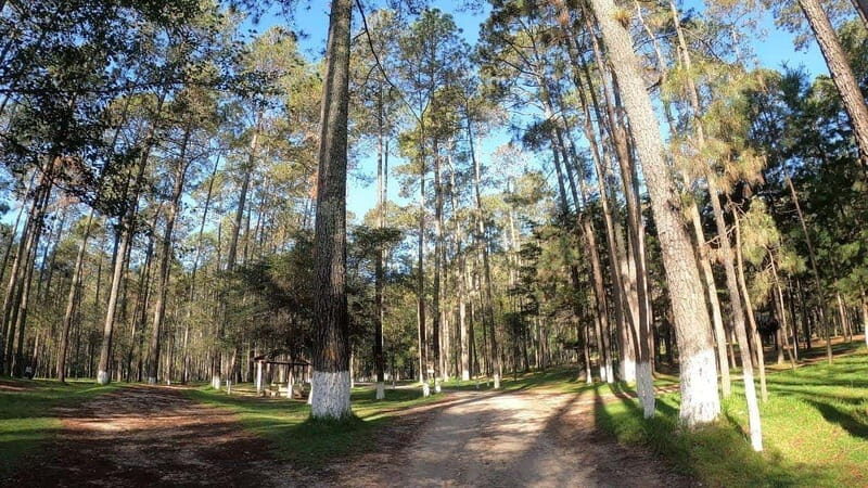 San Cristobal: Rancho Nuevo Caves and Arcotete Tour - Exploring Chiapas: Rancho Nuevo Caves and Arcotete Tour