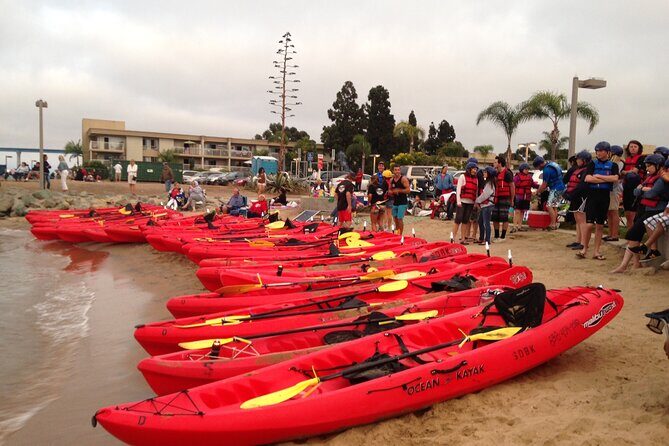 San Diego Bay 1.5-Hour Guided Kayak Tour in Coronado - Why This Tour Works Well for Travelers