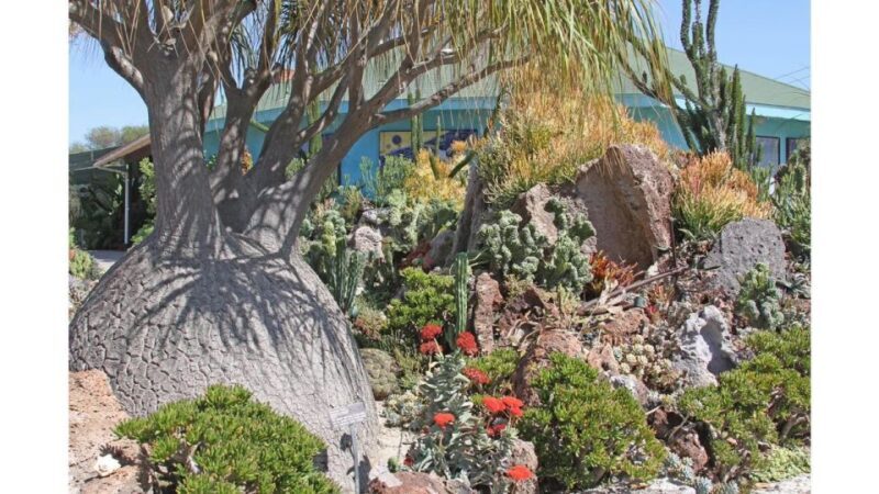 San Diego Botanical Garden Entry Ticket and Transportation - Wrapping It Up
