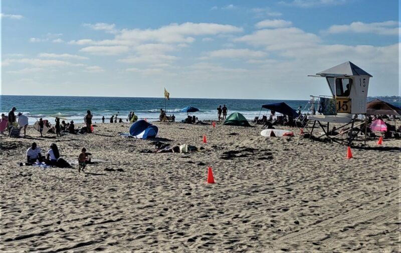 San Diego: City and Beaches Guided Highlights Tour - Practical Tips for Enjoying the Tour