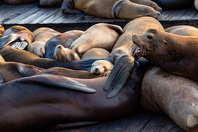 San Diego Day Tour from Orange County - Key Points