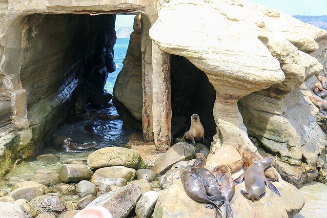 San Diego Day Tour from Orange County - What’s Included and What It Means for You