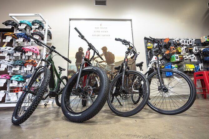 San Diego ebike Rentals - Experience California's Finest Scenery - The Sum Up: Who’s This For?