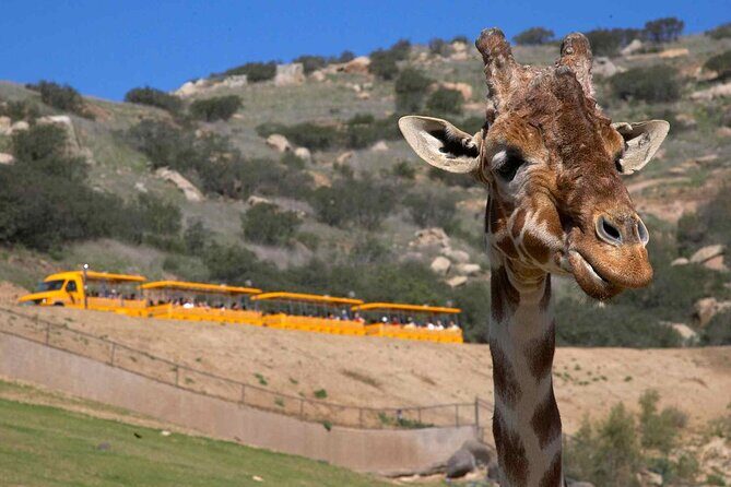 San Diego Explorer Pass: Save up to 50% - Includes San Diego Zoo - Practical Tips for Making the Most of Your Pass