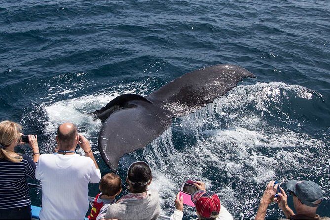 San Diego Explorer Pass: Save up to 50% - Includes San Diego Zoo - The Sum Up