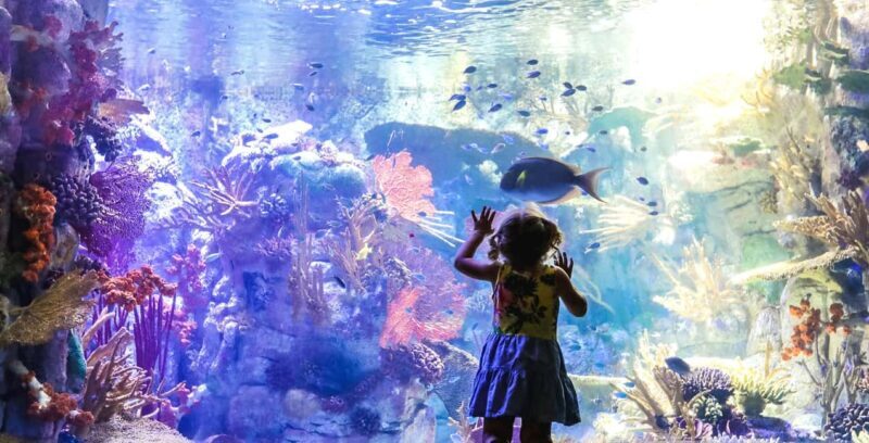 San Diego Explorer Pass: Tickets to 2-7 Attractions - The Attractions: What’s on Offer?