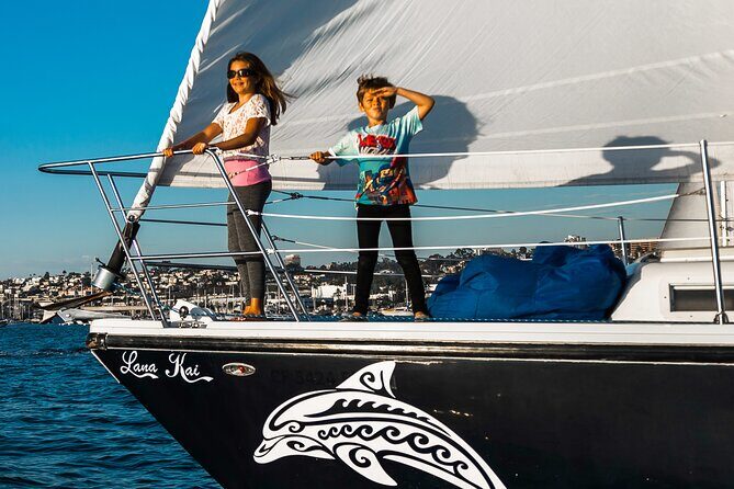 San Diego Half-Day Marine Wildlife Tour with Lunch - The Experience in Detail