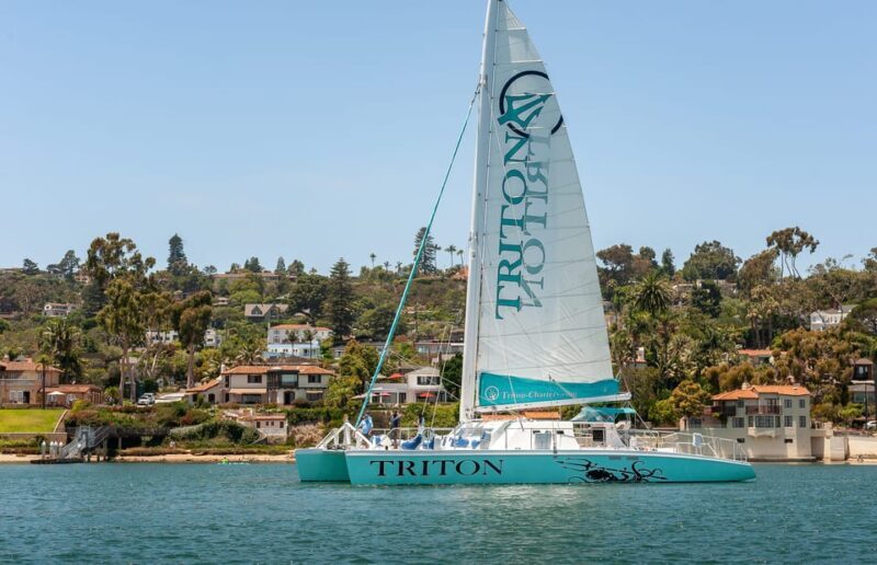 San Diego Harbor Cruise: 2.5 hour Catamaran Cruise - Key Points