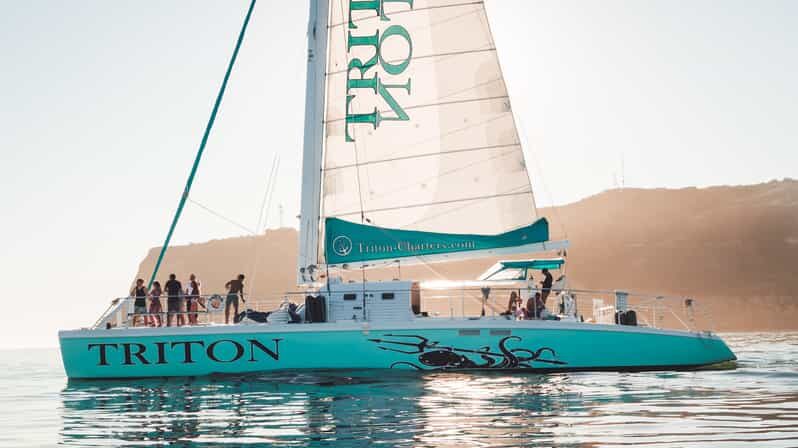 San Diego Harbor Cruise: 2.5 hour Catamaran Cruise - Discover San Diego from the Water: An Experience Overview