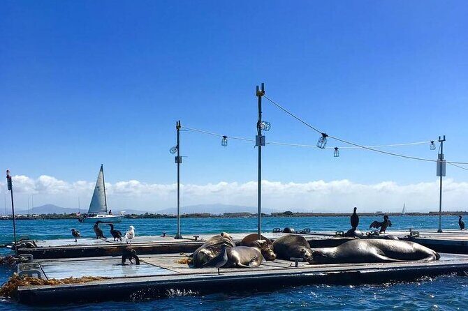 San Diego Harbor Speed Boat Adventure - Practical Details and Tips