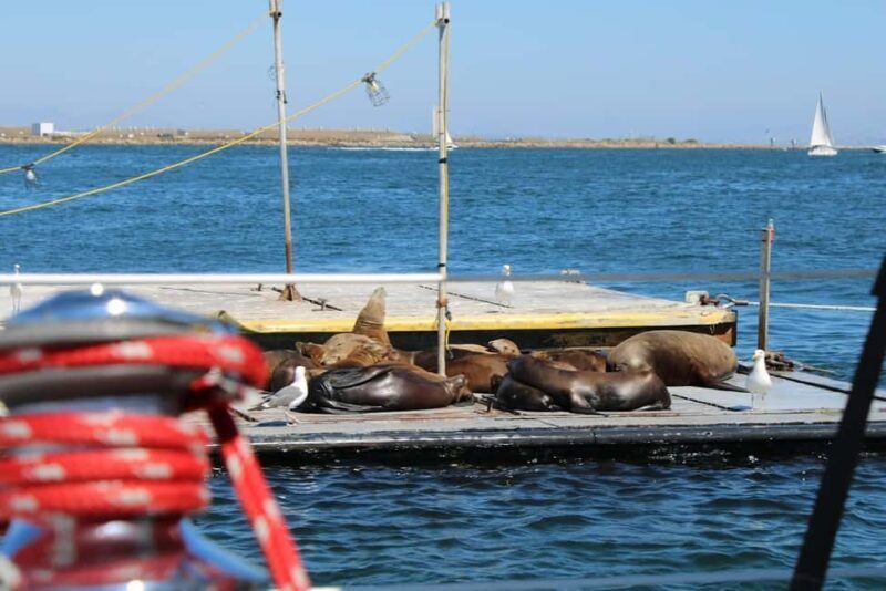 San Diego: Private Morning Sail up to 12 guests - The value and what it means for travelers