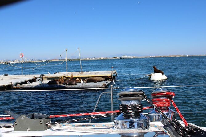 San Diego Private Morning Sail up to 12 guests - Who Is This Tour Best For?