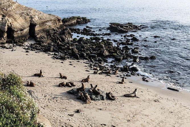 San Diego Scenic Tour - FAQ
