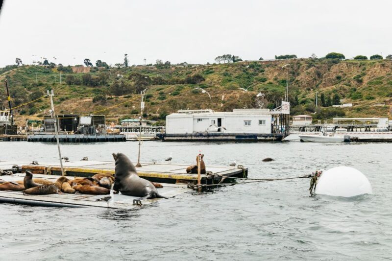 San Diego: SEAL City Tour by Amphibious Bus - FAQ