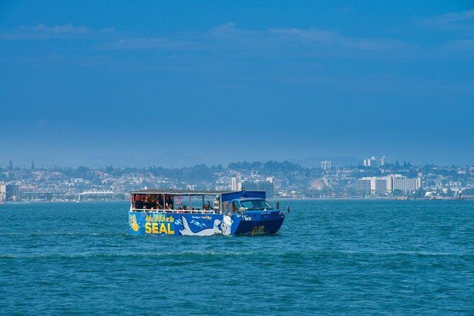 San Diego Shore Excursion: San Diego Seal Tour - What to Expect on the Tour