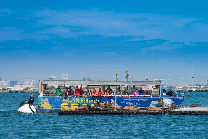 San Diego Shore Excursion: San Diego Seal Tour - FAQ