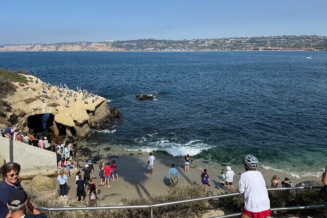 San Diego Tide Pool Tour - The Experience: What Travelers Say