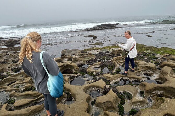 San Diego Tide Pool Tour - Practical Details and Tips
