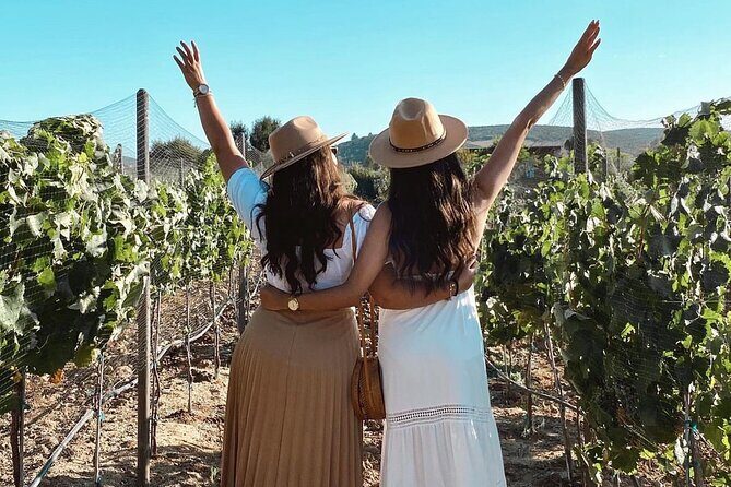 San Diego >>Valley of Guadalupe/four fours vineyard/sky winery - FAQ: Your Questions Answered
