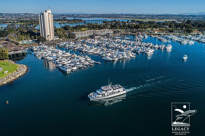 San Diego Whale Watching 3 Hour Tour Mission Bay on the Legacy - Starting Point and Itinerary Breakdown