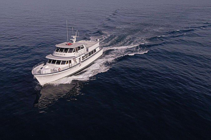 San Diego Whale Watching 3 Hour Tour Mission Bay on the Legacy - FAQ