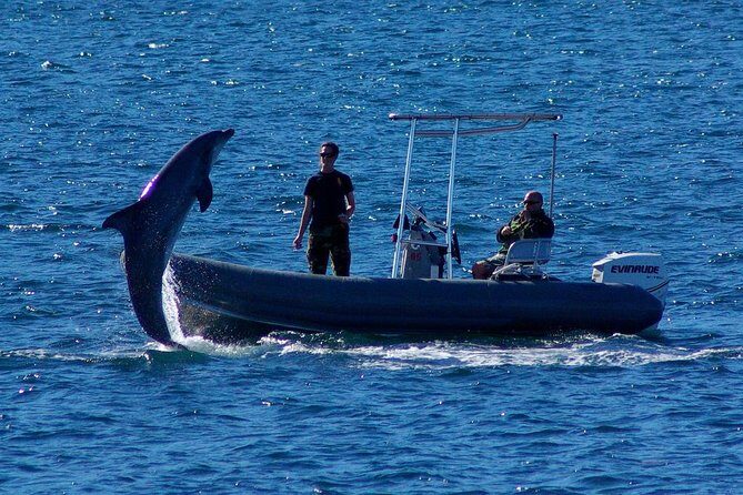 San Diego Whale Watching Cruise - Practical Details: Timing, Group Size, and Cost