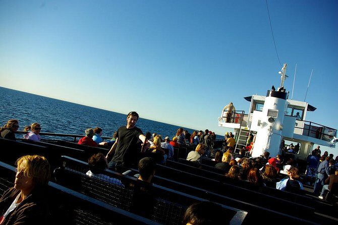 San Diego Whale Watching Cruise - Cancellation and Rescheduling Policies