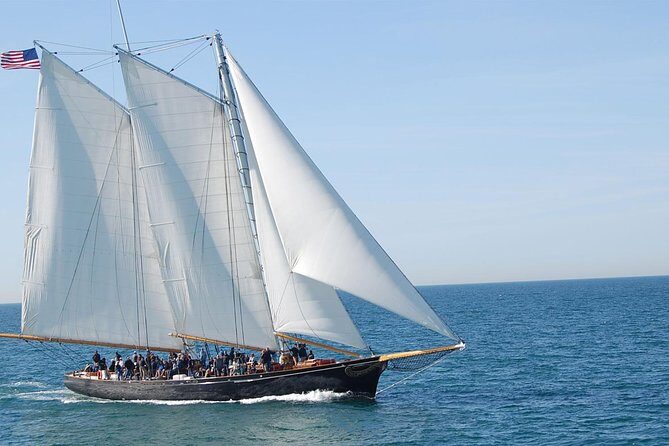 San Diego Whale Watching Cruise - Frequently Asked Questions