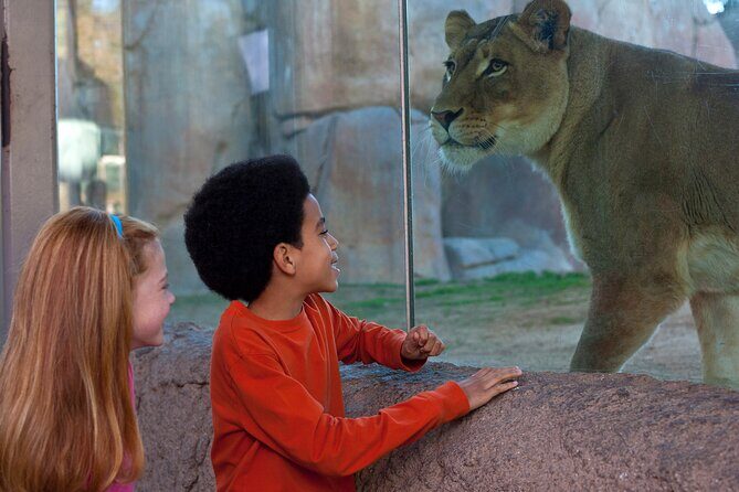 San Diego Zoo and Safari Park 2-Visit Pass Ticket - An Introduction to the Experience