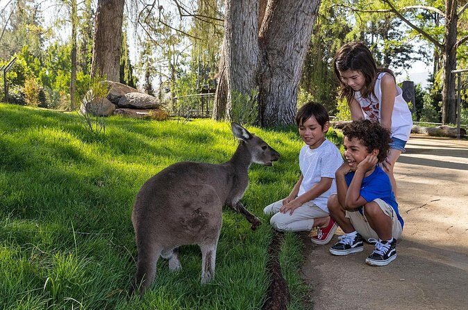 San Diego Zoo and Safari Park 2-Visit Pass Ticket - The Bottom Line: Who Should Consider This Pass?