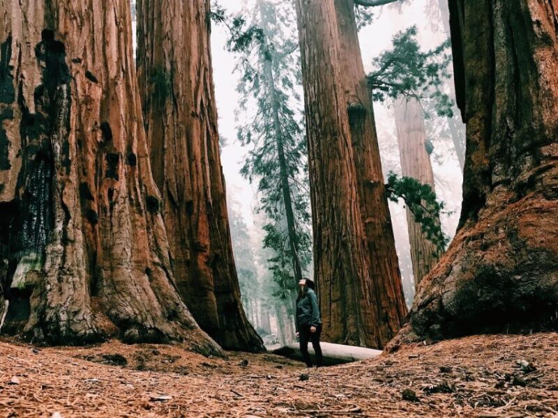 San Francisco: 2-Day National Park Tour with Yosemite Lodge - Frequently Asked Questions
