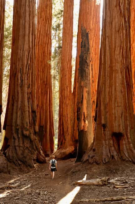 San Francisco: 2-Day Tour to Los Angeles with Parks - The Comfort and Practicalities of the Tour