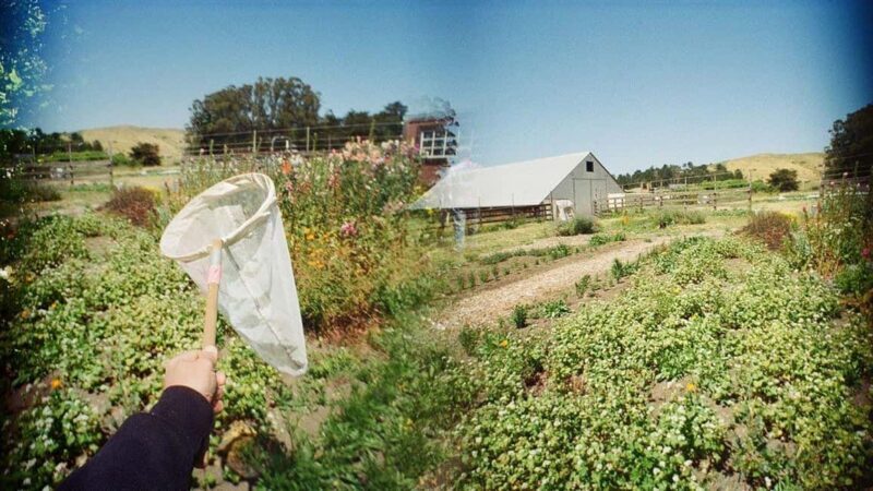 San Francisco: 5-Day California Coast, Vineyards & Wine Tour - A Closer Look at the Itinerary and Experiences